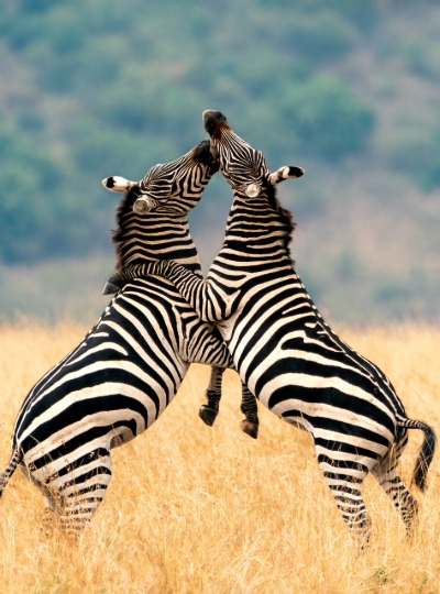 Arusha National Park