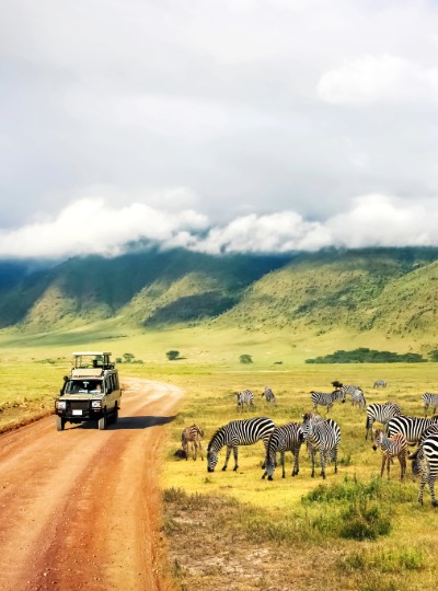Ngorongoro Crater