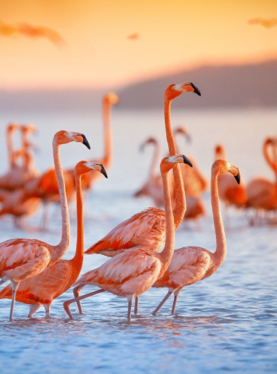 Lake Manyara National Park