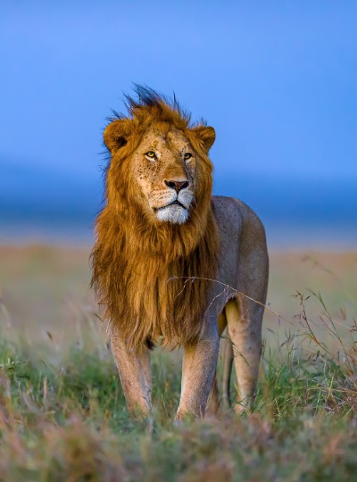 Serengeti National Park