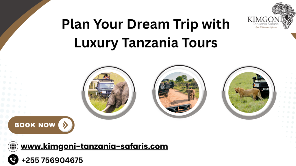 Luxury Tanzania Tours