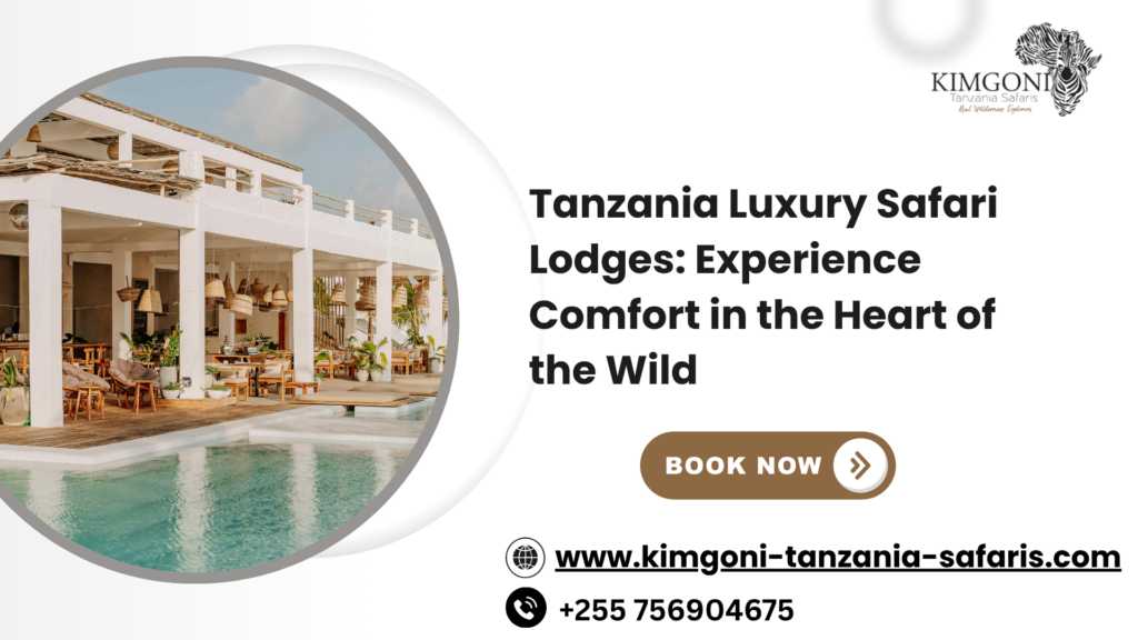 Tanzania Luxury Safari