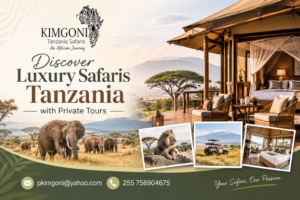 Discover Luxury Safaris Tanzania with Private Tours