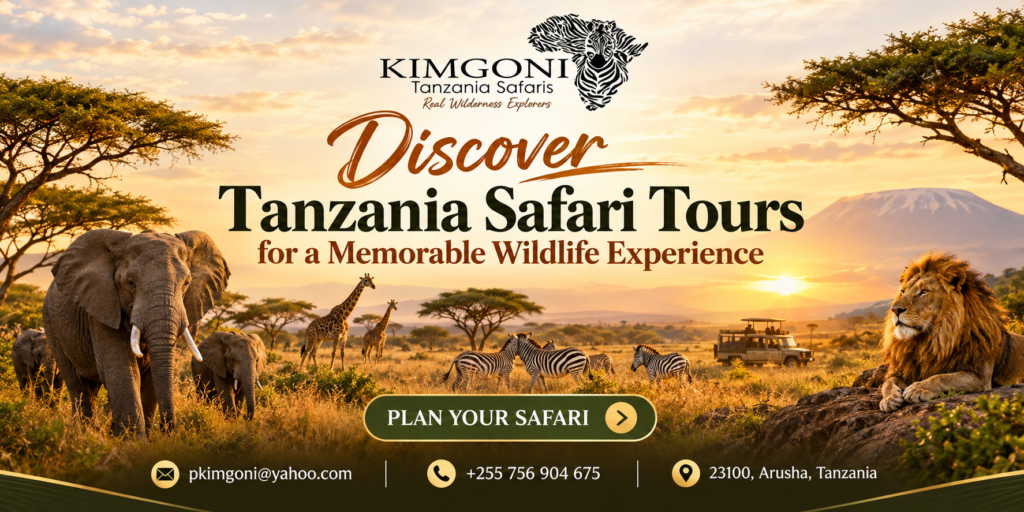 Tanzania Safari Tours