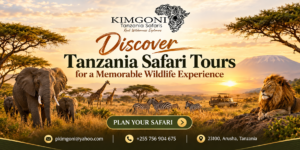 Tanzania Safari Tours