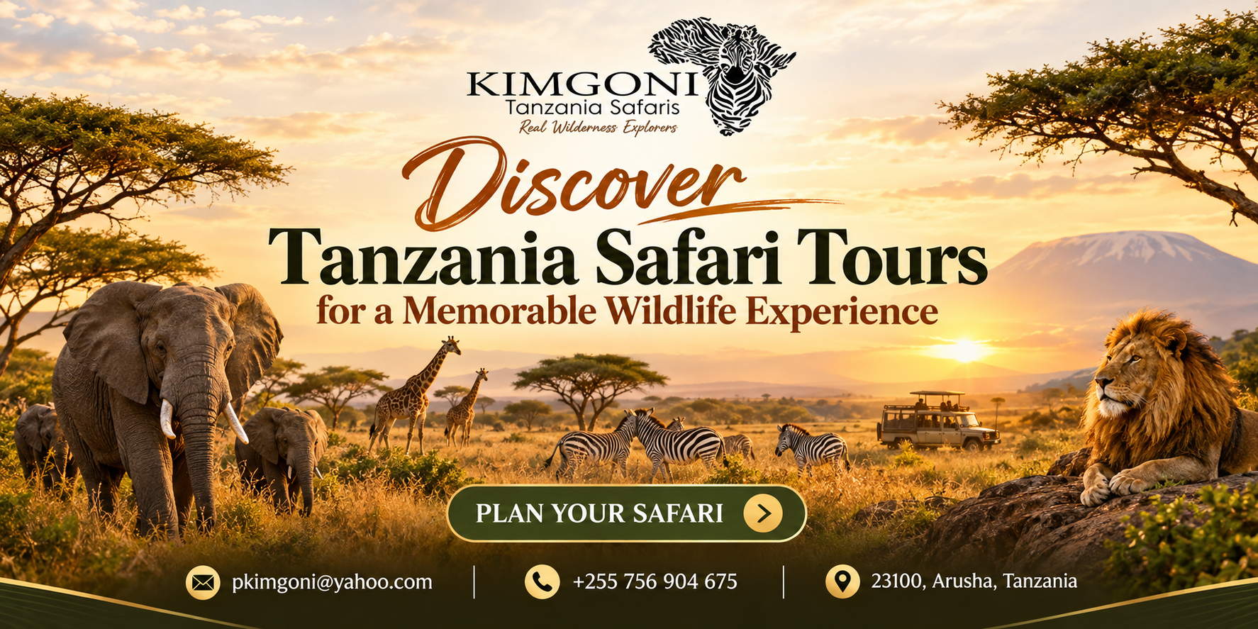 Tanzania Safari Tours