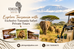 Explore Tanzania With Exclusive Tanzania Safari Private tours