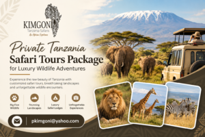 Private Tanzania Safari Package