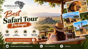 Best Safari Tour Packages