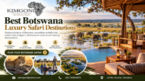 Luxury Safari Destinations
