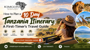 10 Day Tanzania Itinerary
