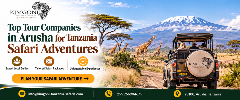 tanzania safari company