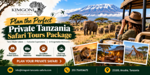 private safari Tanzania
