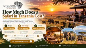 Safari in Tanzania