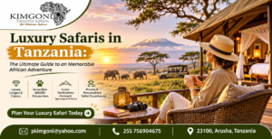 luxury safaris in Tanzania