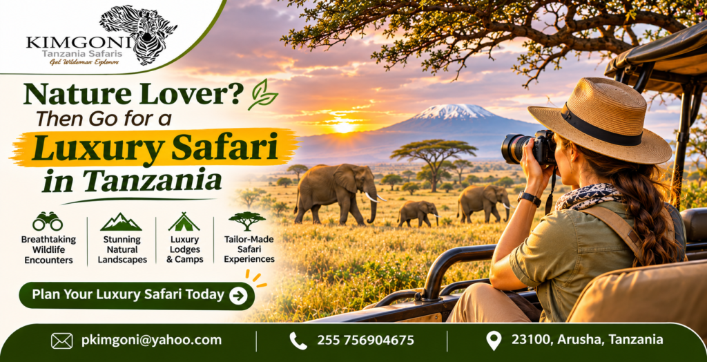 Kenya safari packages