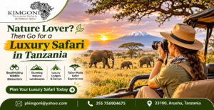 Kenya safari packages