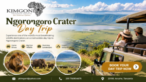 Ngorongoro Crater Day Trip