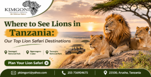 tanzania travel packages