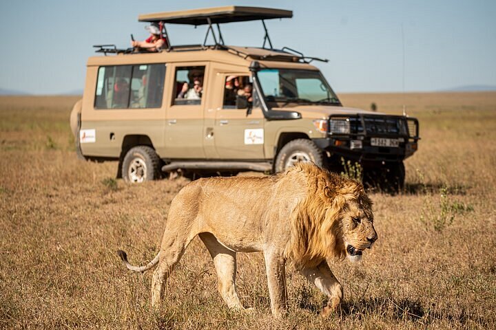 Safari in Tanzania