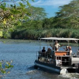 safari-activity-15