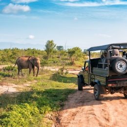 tanzania-day-tour-6