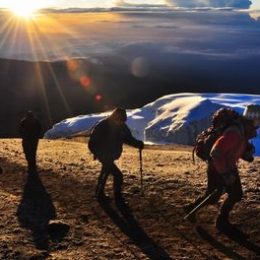 trek-activity-5
